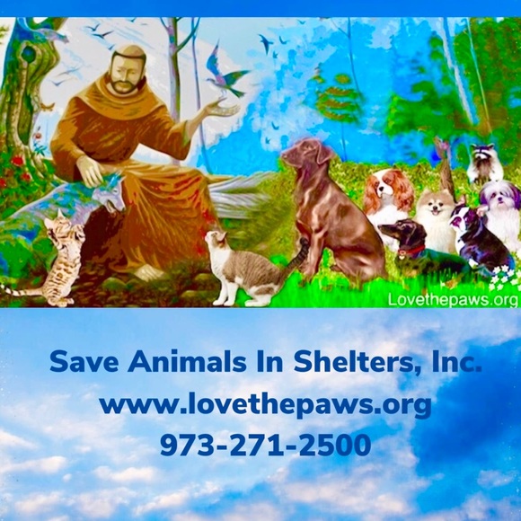 Hoop earring cubic zirconia Diamond like 34 stones in a pair 1 inch - Picture 9 of 9